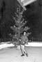 mama-tannenbaum